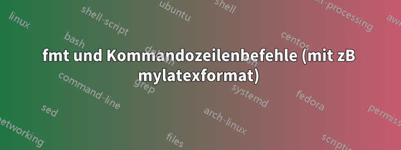 fmt und Kommandozeilenbefehle (mit zB mylatexformat)