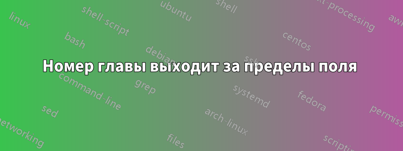 Номер главы выходит за пределы поля