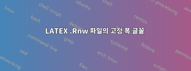 LATEX .Rnw 파일의 고정 폭 글꼴