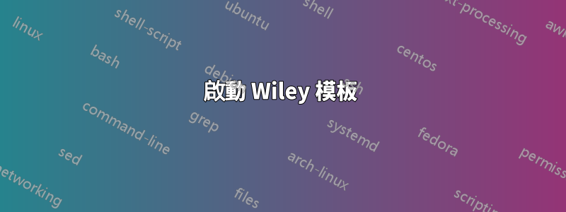 啟動 Wiley 模板