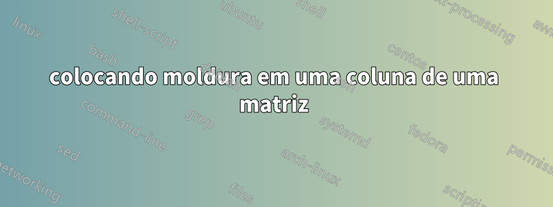 colocando moldura em uma coluna de uma matriz