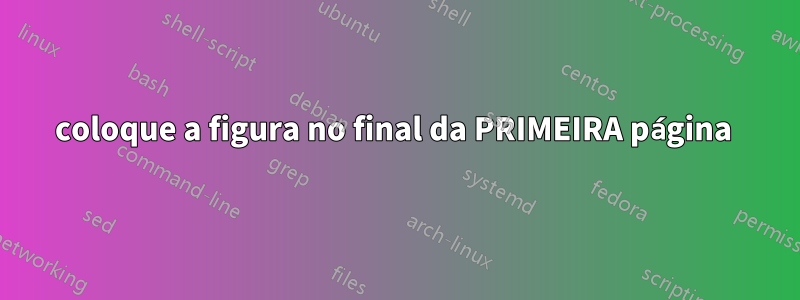 coloque a figura no final da PRIMEIRA página 