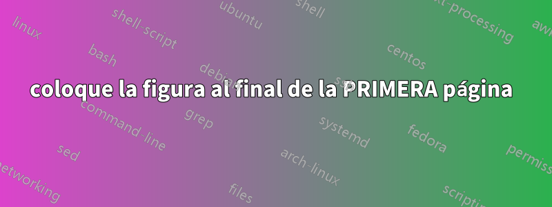 coloque la figura al final de la PRIMERA página 