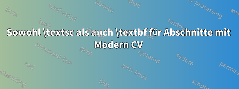 Sowohl \textsc als auch \textbf für Abschnitte mit Modern CV