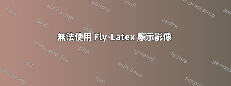 無法使用 Fly-Latex 顯示影像