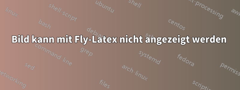 Bild kann mit Fly-Latex nicht angezeigt werden