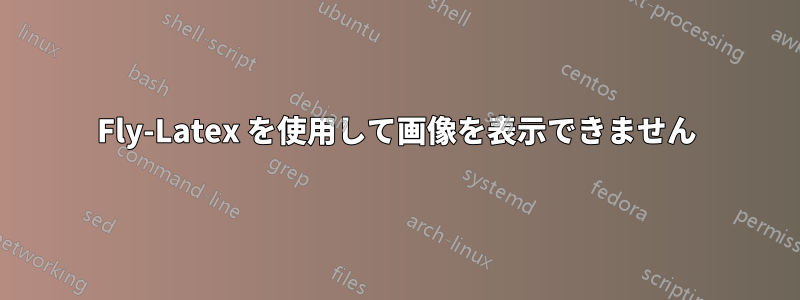 Fly-Latex を使用して画像を表示できません