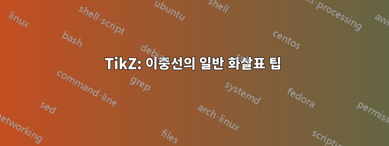 TikZ: 이중선의 일반 화살표 팁