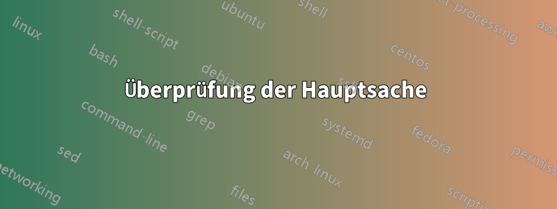 Überprüfung der Hauptsache