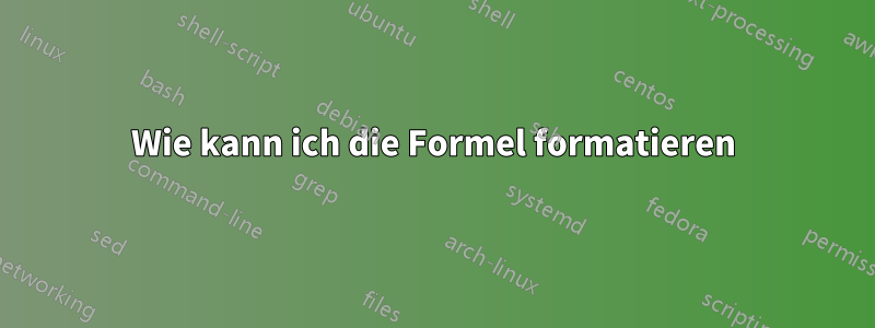 Wie kann ich die Formel formatieren