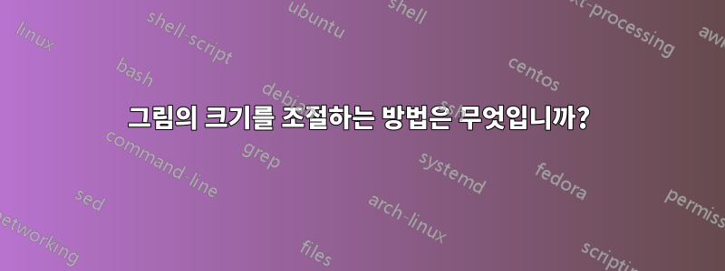 그림의 크기를 조절하는 방법은 무엇입니까?