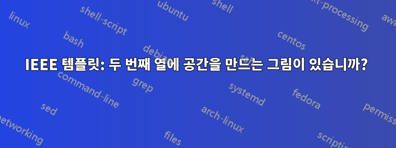 IEEE 템플릿: 두 번째 열에 공간을 만드는 그림이 있습니까?