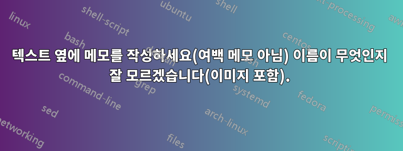 텍스트 옆에 메모를 작성하세요(여백 메모 아님) 이름이 무엇인지 잘 모르겠습니다(이미지 포함).