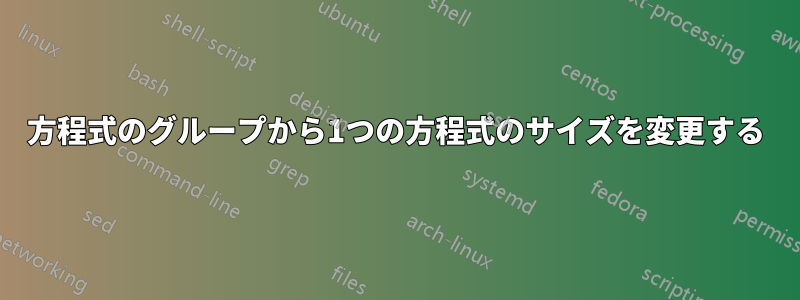 方程式のグループから1つの方程式のサイズを変更する