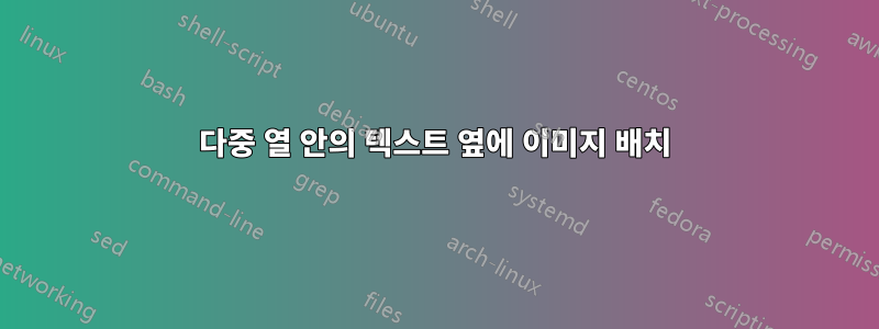 다중 열 안의 텍스트 옆에 이미지 배치