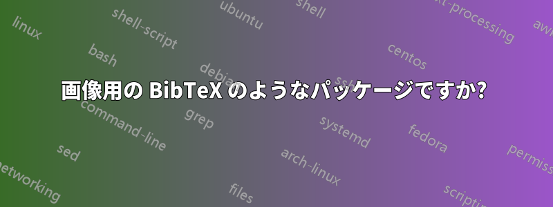 画像用の BibTeX のようなパッケージですか?