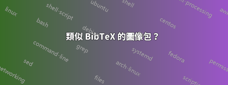 類似 BibTeX 的圖像包？