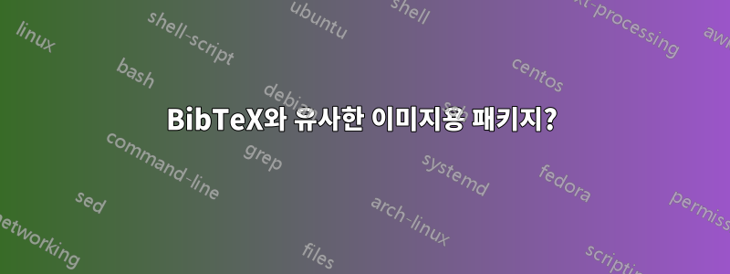 BibTeX와 유사한 이미지용 패키지?