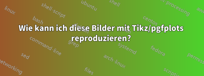 Wie kann ich diese Bilder mit Tikz/pgfplots reproduzieren?