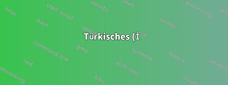 Türkisches (İ) Zeichen in Codeauflistungen