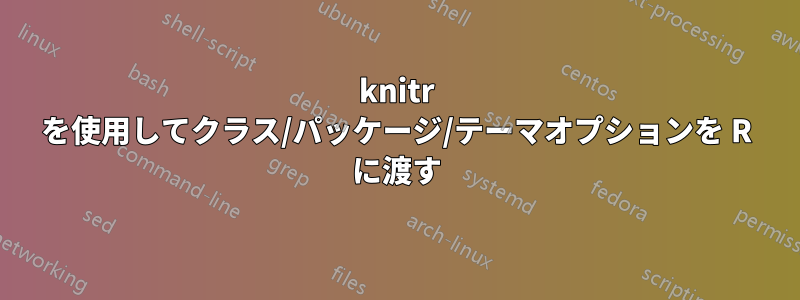 knitr を使用してクラス/パッケージ/テーマオプションを R に渡す