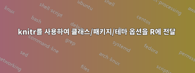 knitr를 사용하여 클래스/패키지/테마 옵션을 R에 전달