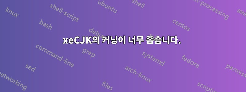 xeCJK의 커닝이 너무 좁습니다.