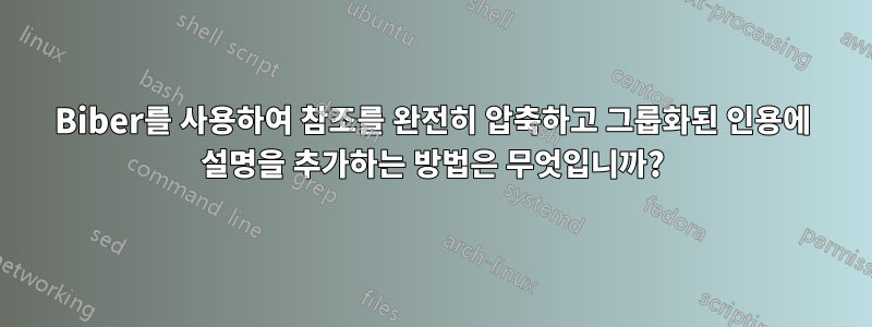 Biber를 사용하여 참조를 완전히 압축하고 그룹화된 인용에 설명을 추가하는 방법은 무엇입니까?