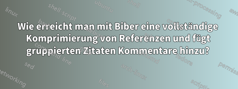 Wie erreicht man mit Biber eine vollständige Komprimierung von Referenzen und fügt gruppierten Zitaten Kommentare hinzu?