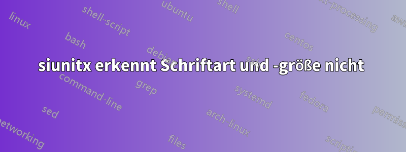 siunitx erkennt Schriftart und -größe nicht