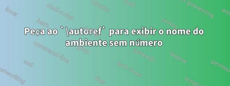 Peça ao `\autoref` para exibir o nome do ambiente sem número