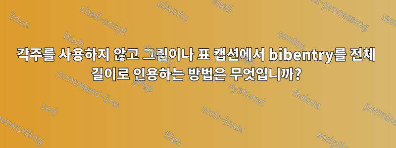 각주를 사용하지 않고 그림이나 표 캡션에서 bibentry를 전체 길이로 인용하는 방법은 무엇입니까?