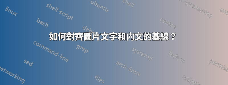 如何對齊圖片文字和內文的基線？