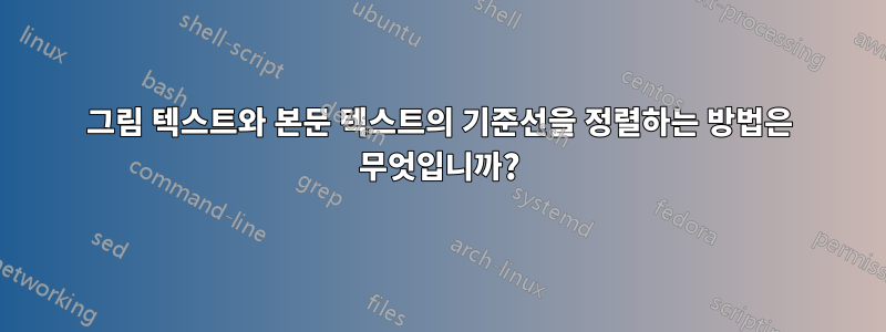 그림 텍스트와 본문 텍스트의 기준선을 정렬하는 방법은 무엇입니까?