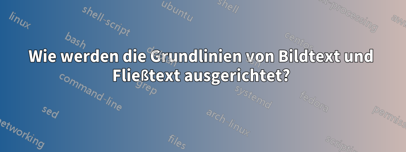 Wie werden die Grundlinien von Bildtext und Fließtext ausgerichtet?