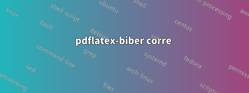pdflatex-biber corre