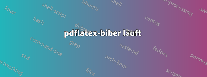 pdflatex-biber läuft