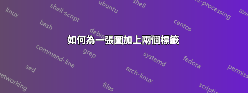 如何為一張圖加上兩個標籤