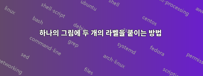 하나의 그림에 두 개의 라벨을 붙이는 방법