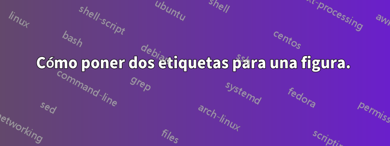 Cómo poner dos etiquetas para una figura.