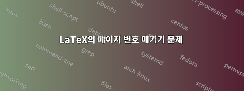 LaTeX의 페이지 번호 매기기 문제