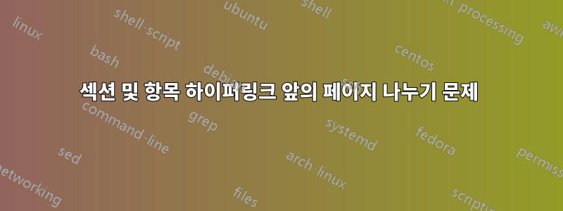 섹션 및 항목 하이퍼링크 앞의 페이지 나누기 문제