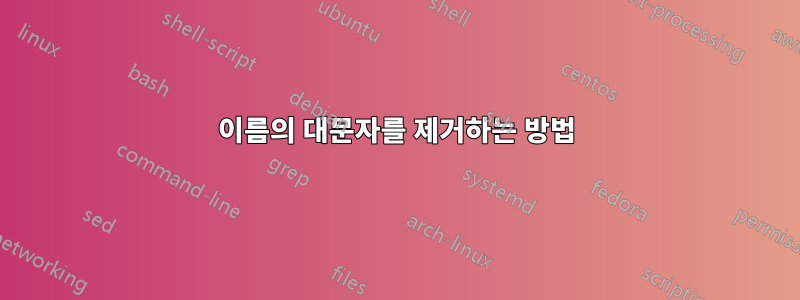 이름의 대문자를 제거하는 방법