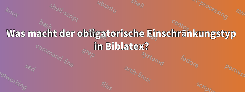 Was macht der obligatorische Einschränkungstyp in Biblatex?