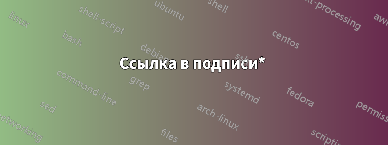 Ссылка в подписи*