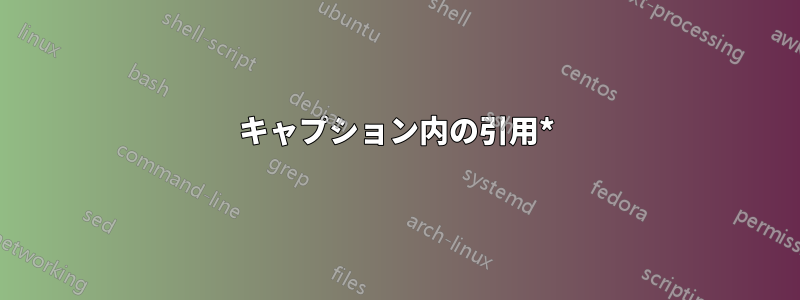 キャプション内の引用*