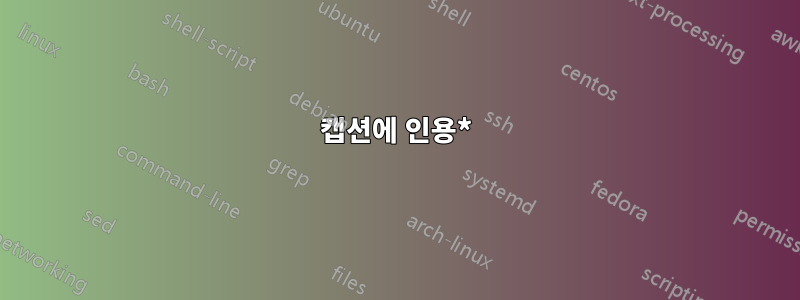 캡션에 인용*