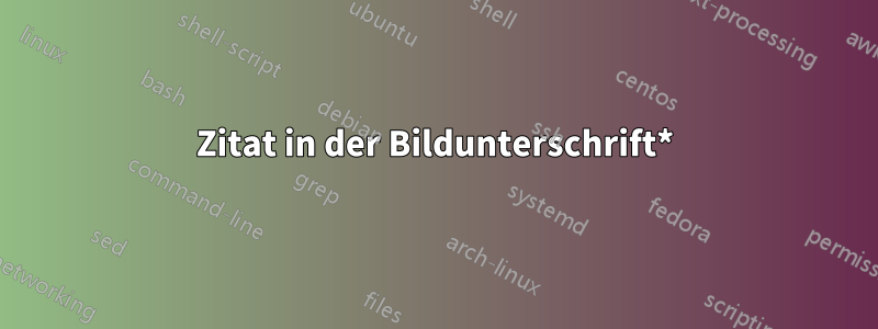 Zitat in der Bildunterschrift*