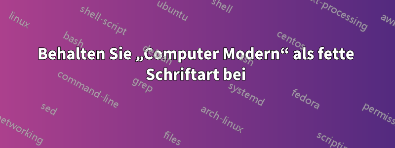 Behalten Sie „Computer Modern“ als fette Schriftart bei