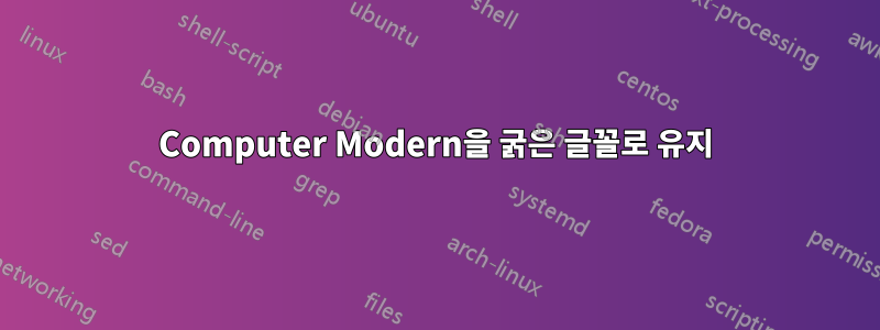 Computer Modern을 굵은 글꼴로 유지